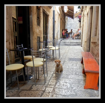 [Click to enlarge image]